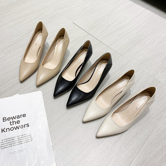 Low Heel Professional Pointed Heels